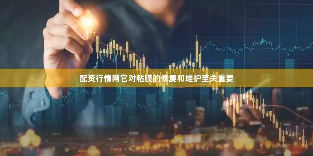 配资行情网它对粘膜的修复和维护至关重要