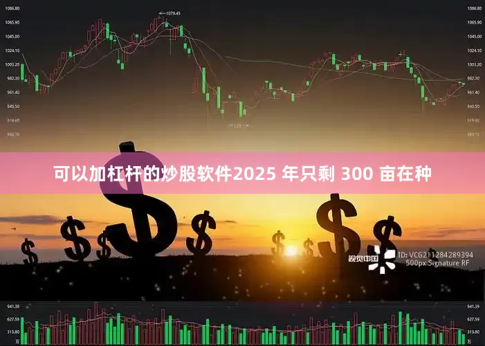 可以加杠杆的炒股软件2025 年只剩 300 亩在种