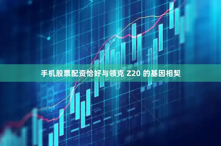 手机股票配资恰好与领克 Z20 的基因相契