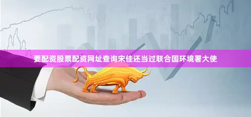 要配资股票配资网址查询宋佳还当过联合国环境署大使