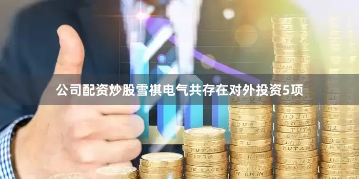 公司配资炒股雪祺电气共存在对外投资5项